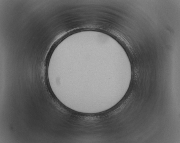 X0000116271029200912291329