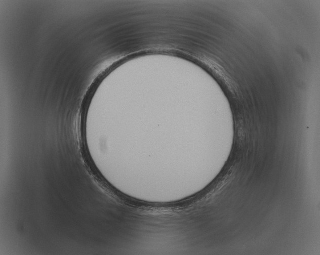 X0000116271030200912291329