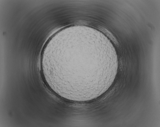 X0000116271036200912291329
