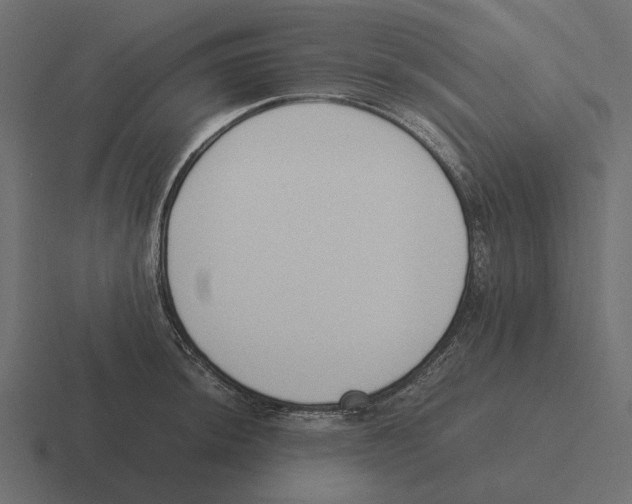 X0000116271044200912291329