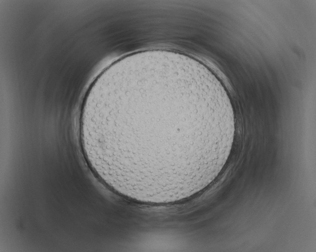 X0000116271054200912291329