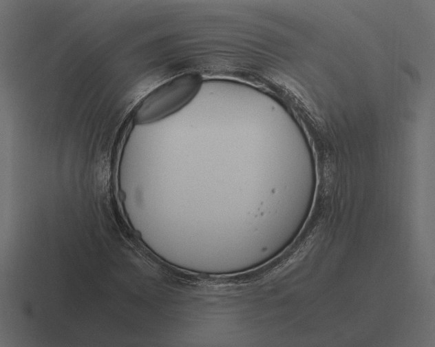 X0000116271065200912291329