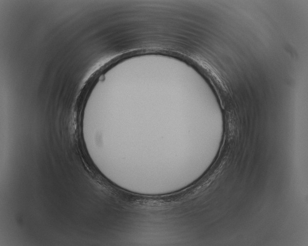 X0000116271070200912291329