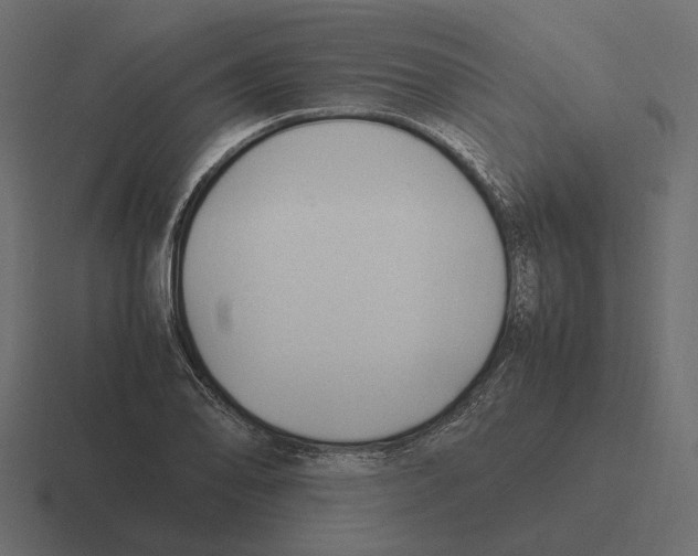 X0000116271078200912291329