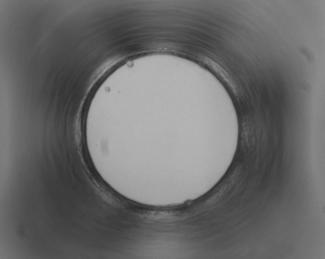 X0000116271082200912291329