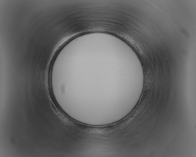 X0000116271086200912291328