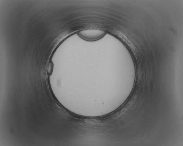 X0000116271089200912291328