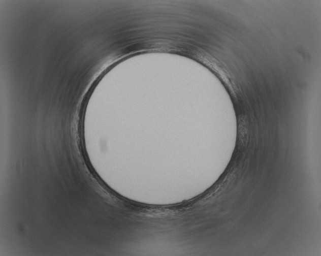 X0000116271091200912291328