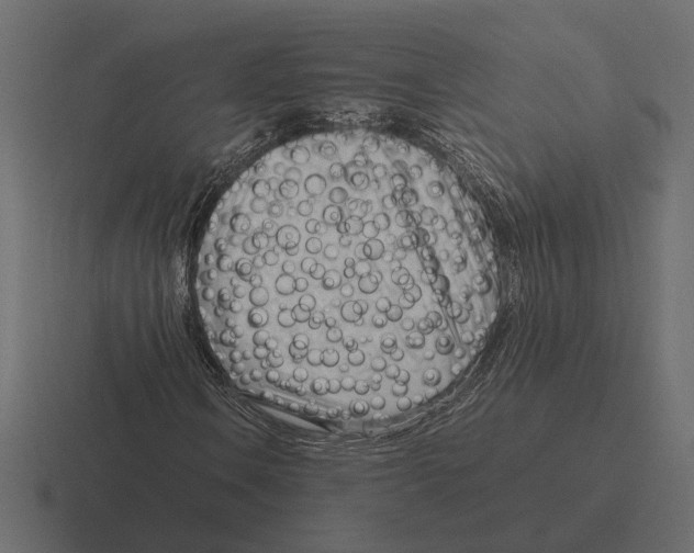 X0000116271106200912291328
