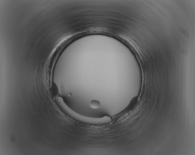 X0000116271115200912291328
