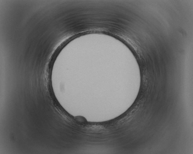 X0000116271119200912291328