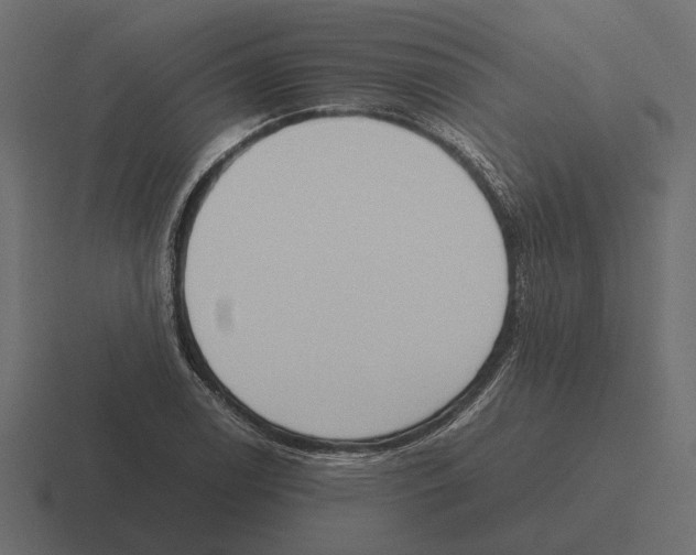 X0000116271122200912291328