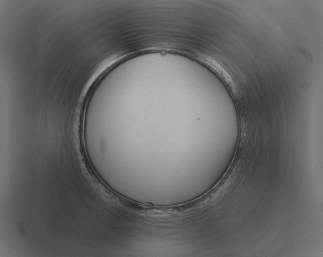 X0000116271138200912291328