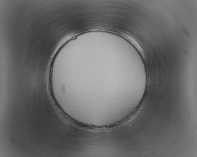 X0000116271146200912291328