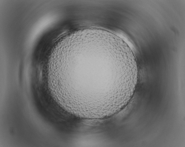X0000116271150200912291328