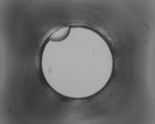 X0000116271167200912291327