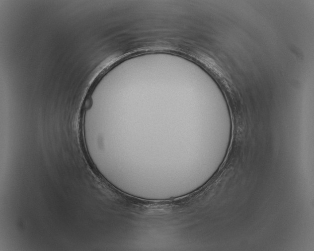 X0000116271181200912291327