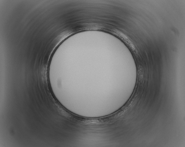 X0000116271186200912291327