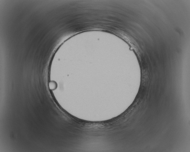 X0000116271187200912291327