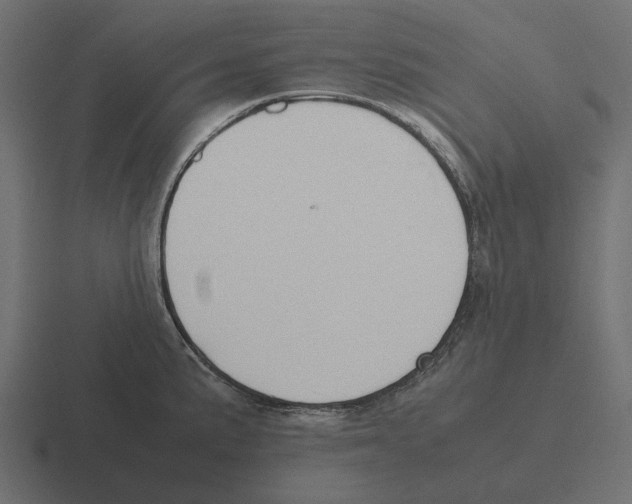 X0000116271191200912291327