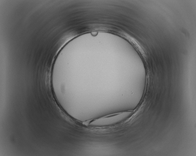 X0000116271194200912291327