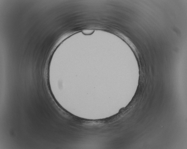 X0000116271195200912291327