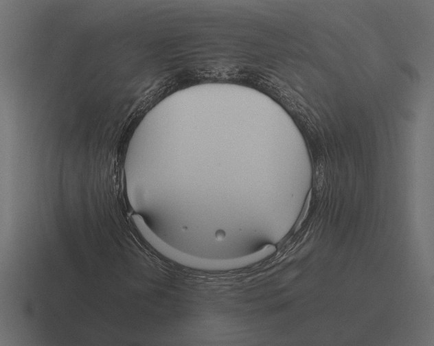 X0000116271202200912291326