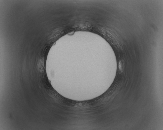 X0000116271203200912291326
