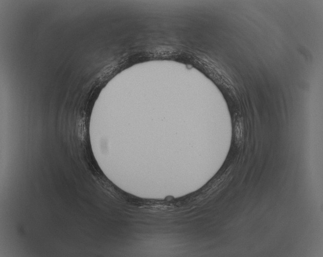 X0000116271204200912291326