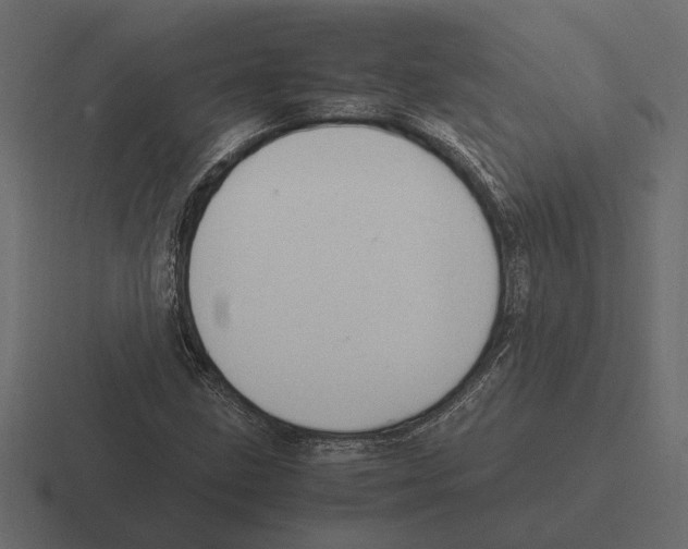 X0000116271211200912291327