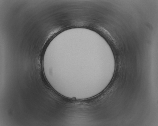 X0000116271218200912291327