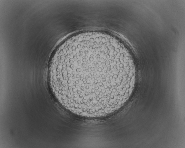 X0000116271220200912291327