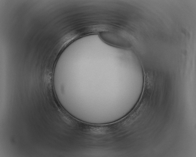 X0000116271225200912291327