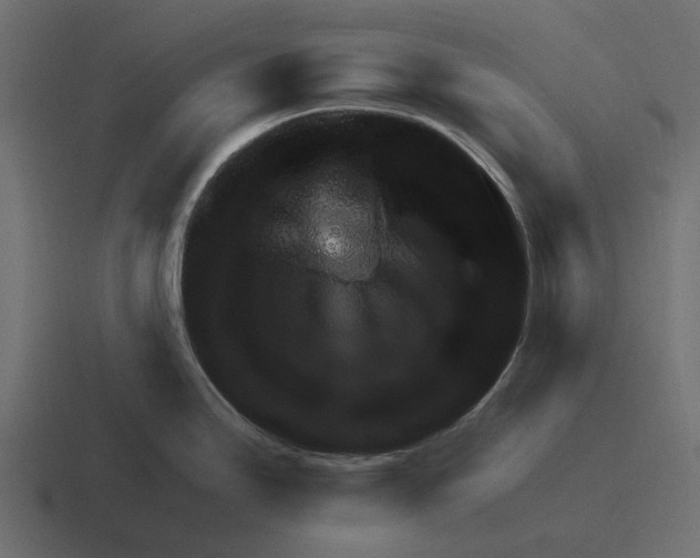 X0000116271246200912291327