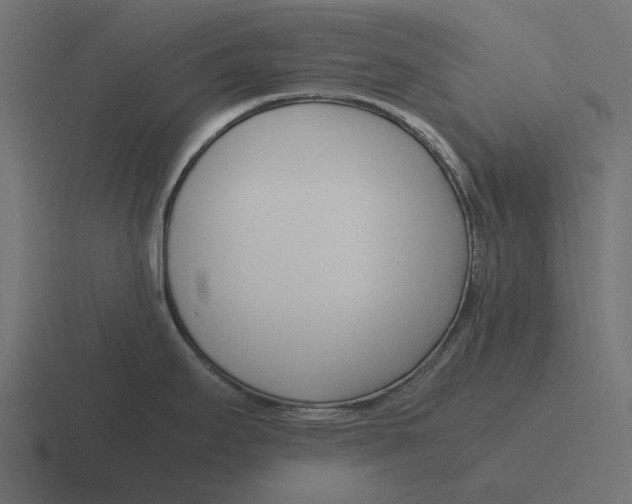 X0000116271295200912291326