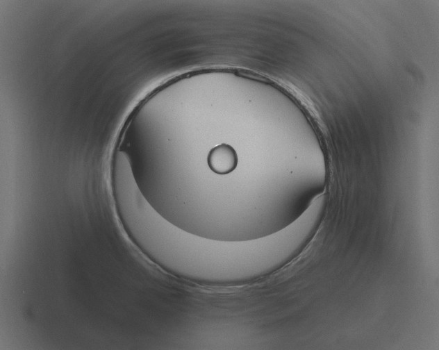 X0000116271342200912291326