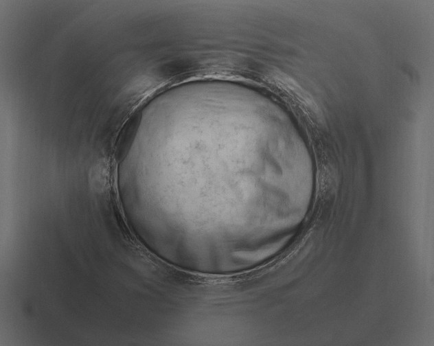 X0000116271353200912291325