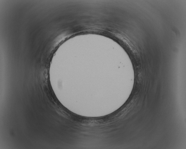 X0000116271355200912291325