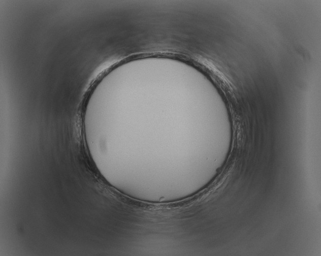 X0000116271358200912291325