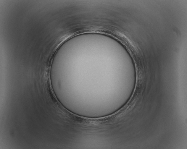 X0000116271361200912291325