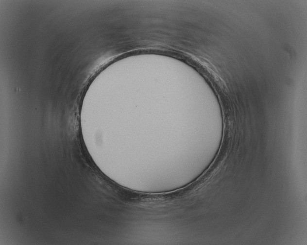 X0000116271363200912291325