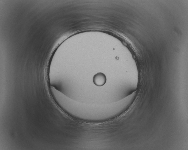 X0000116271373200912291325