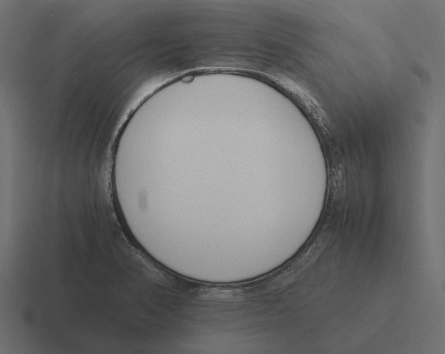 X0000116271374200912291325
