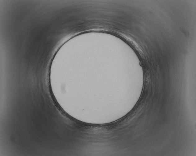 X0000116271375200912291325