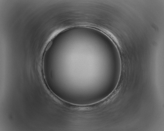 X0000116271381200912291325