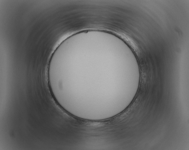 X0000116271382200912291325