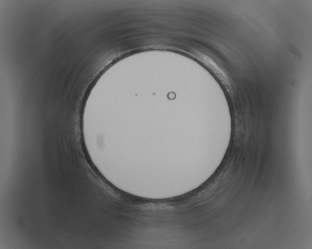 X0000116271384200912291325