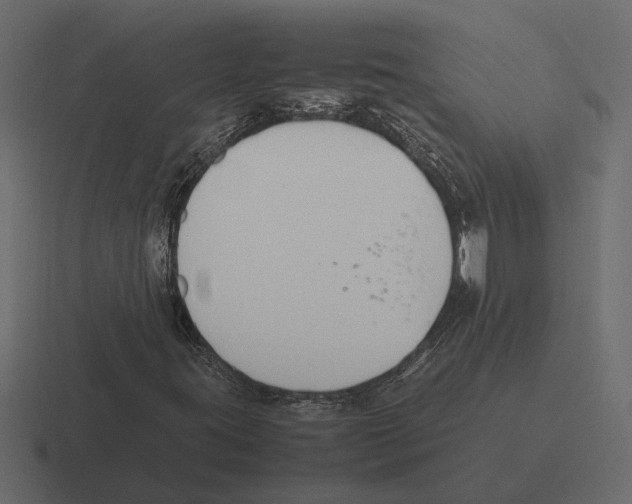 X0000116271395200912291324