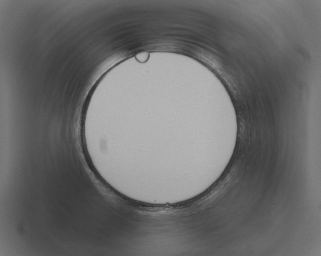 X0000116271426200912291324