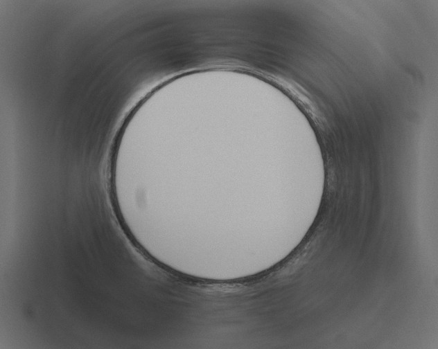 X0000116271430200912291324